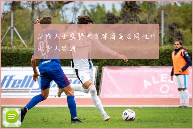 业内人士盛赞申京球商高合同性价比令人称道