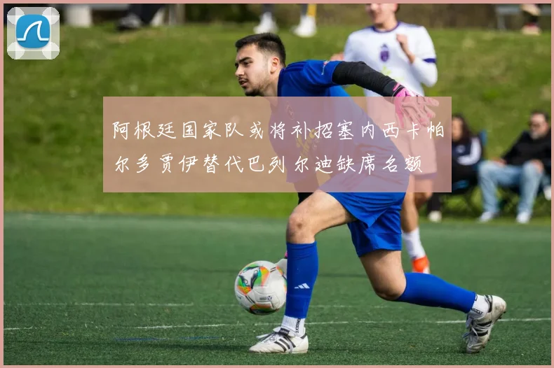 阿根廷国家队或将补招塞内西卡帕尔多贾伊替代巴列尔迪缺席名额